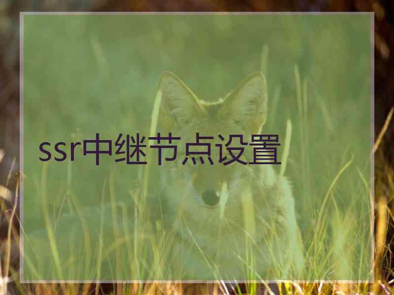 ssr中继节点设置