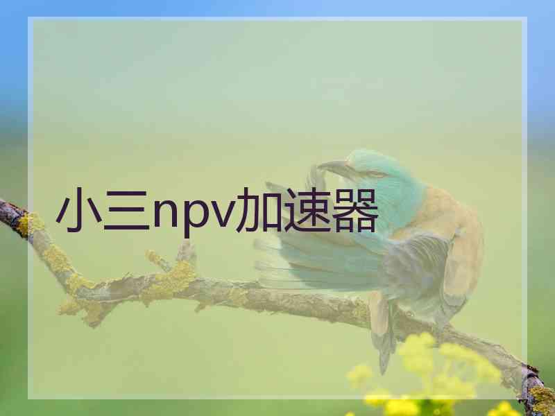 小三npv加速器