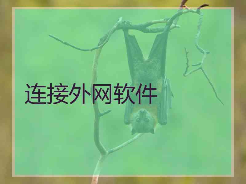 连接外网软件