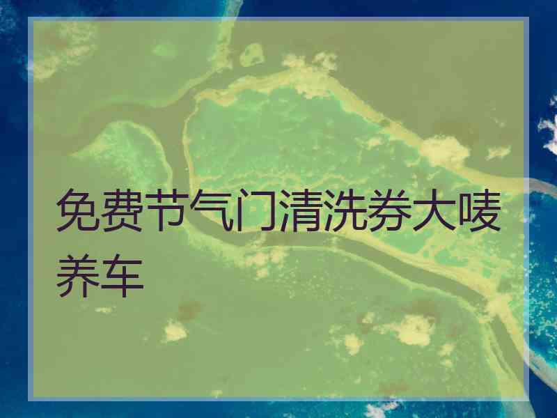 免费节气门清洗券大唛养车