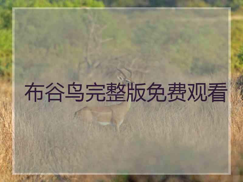 布谷鸟完整版免费观看