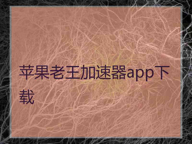苹果老王加速器app下载