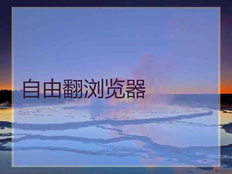 自由翻浏览器