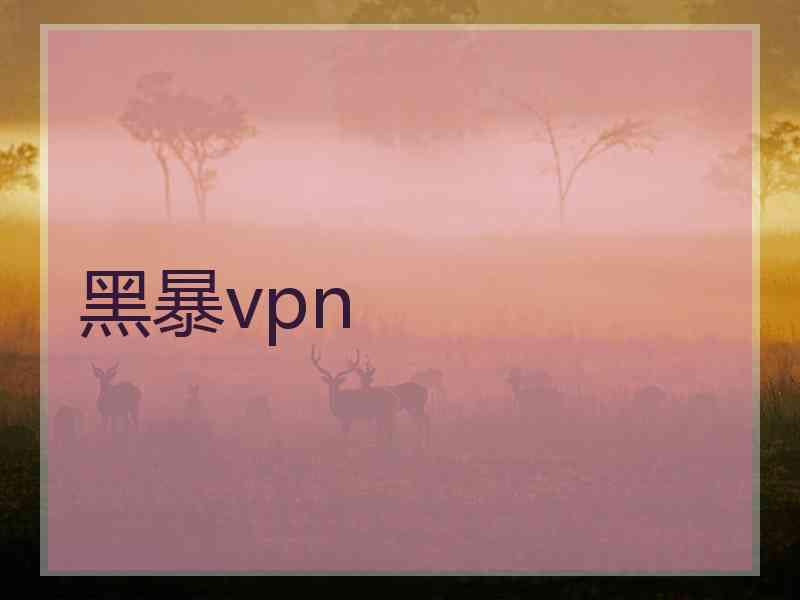 黑暴vpn