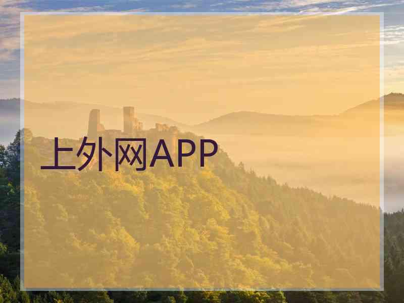上外网APP
