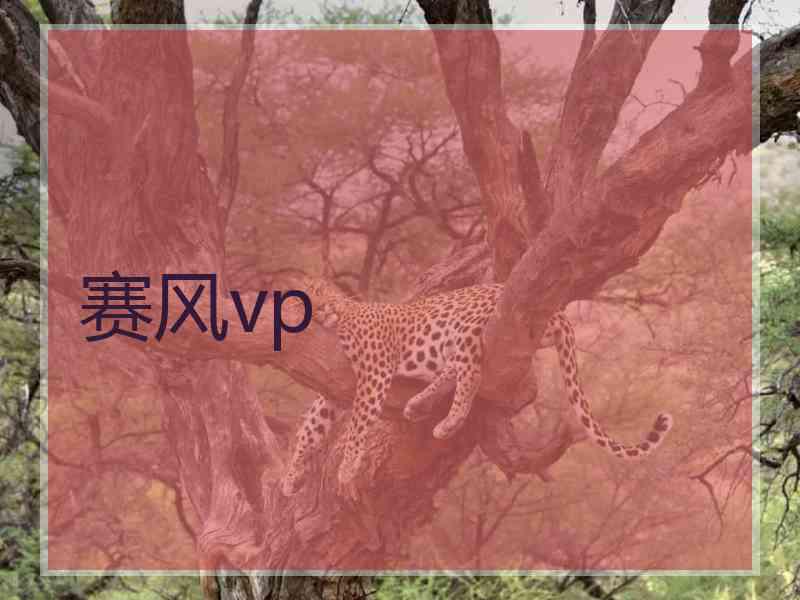 赛风vp