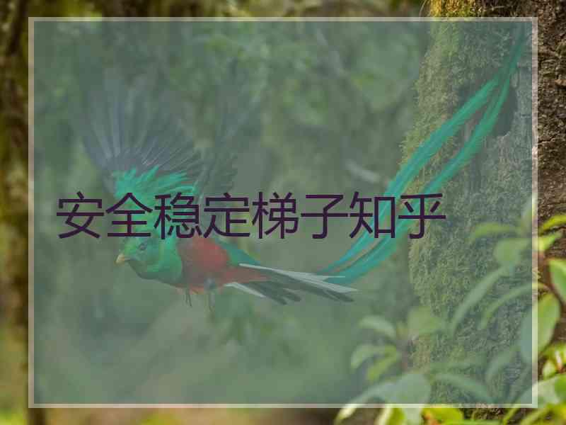 安全稳定梯子知乎
