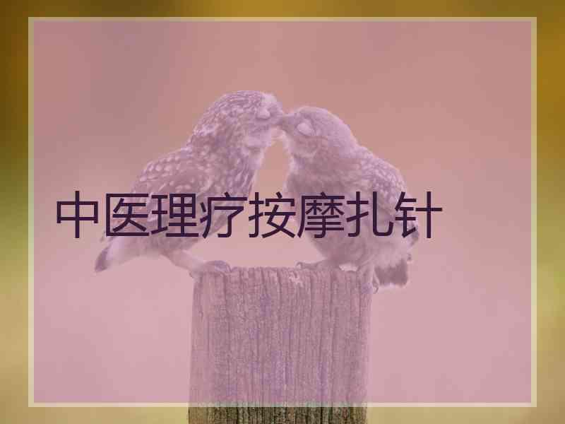 中医理疗按摩扎针