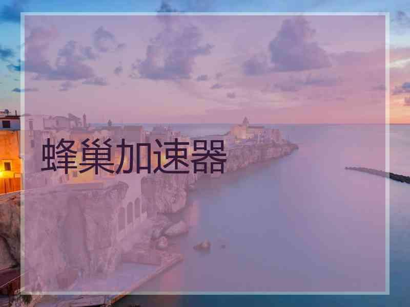 蜂巢加速器