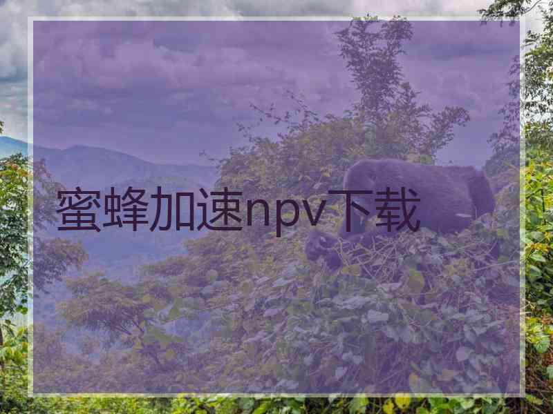蜜蜂加速npv下载