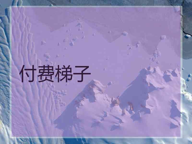 付费梯子