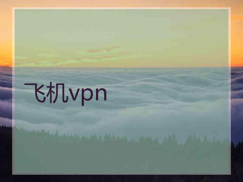飞机vpn