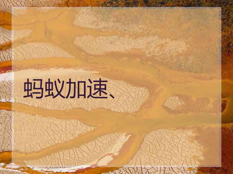 蚂蚁加速、
