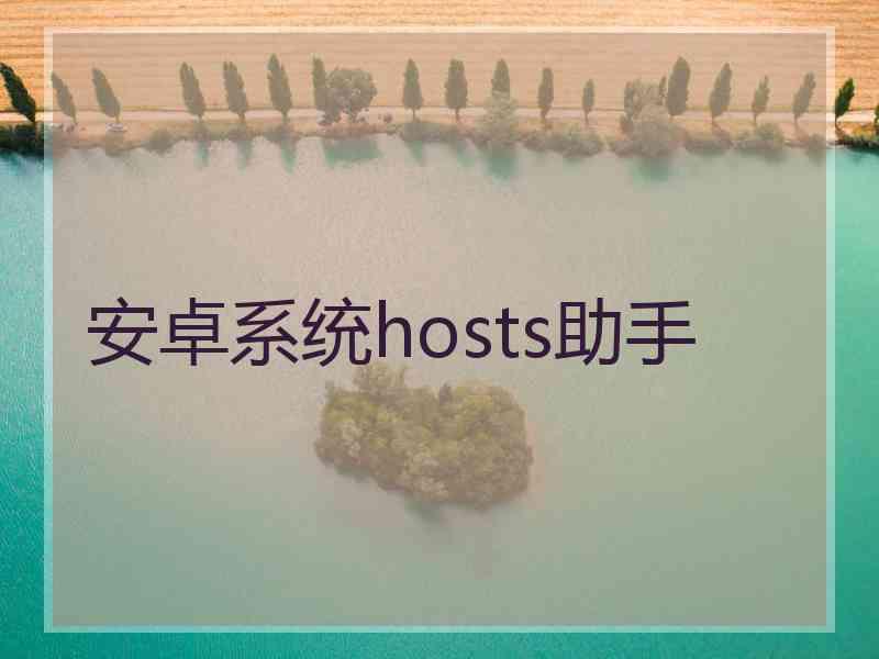 安卓系统hosts助手