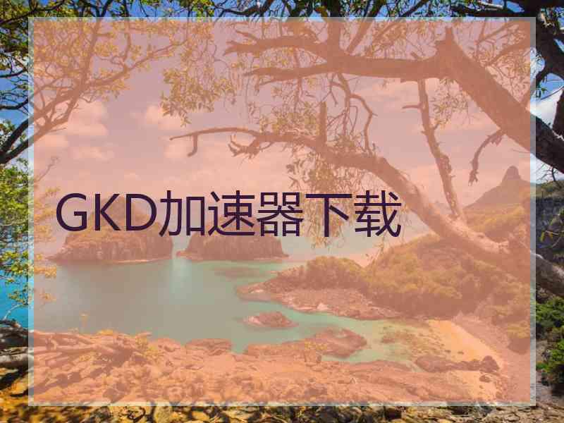 GKD加速器下载