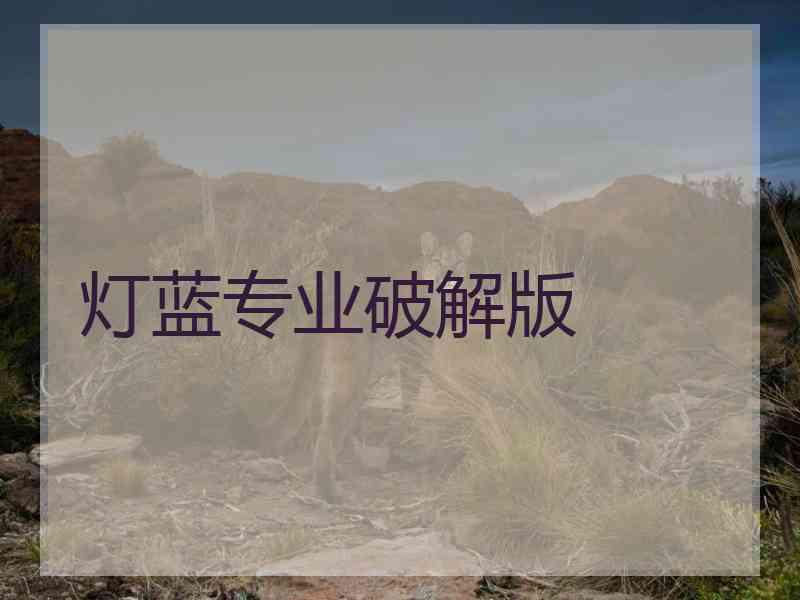 灯蓝专业破解版