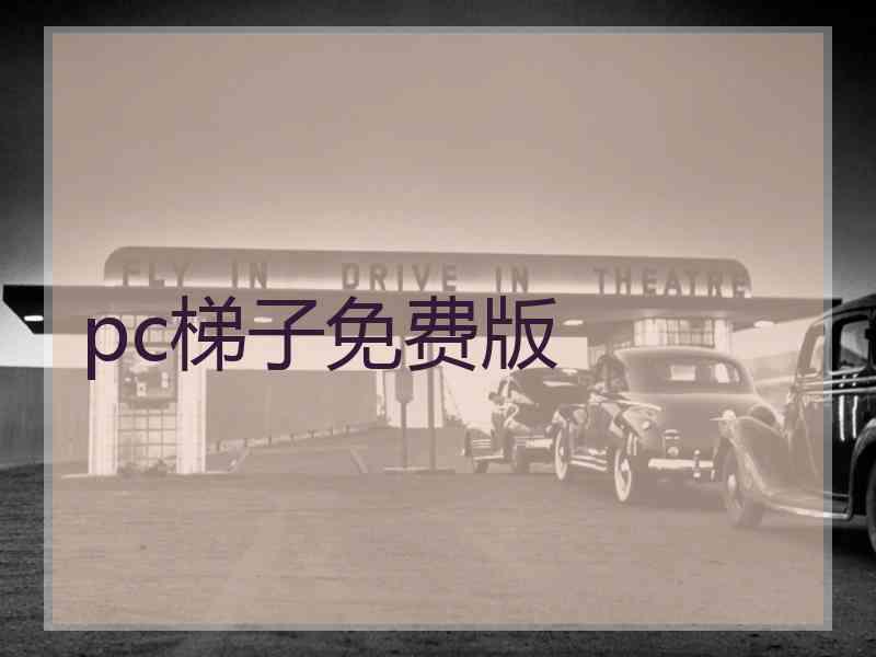 pc梯子免费版