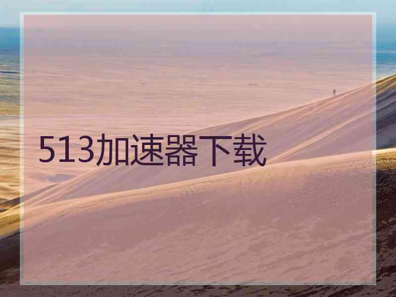 513加速器下载