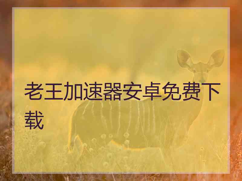 老王加速器安卓免费下载