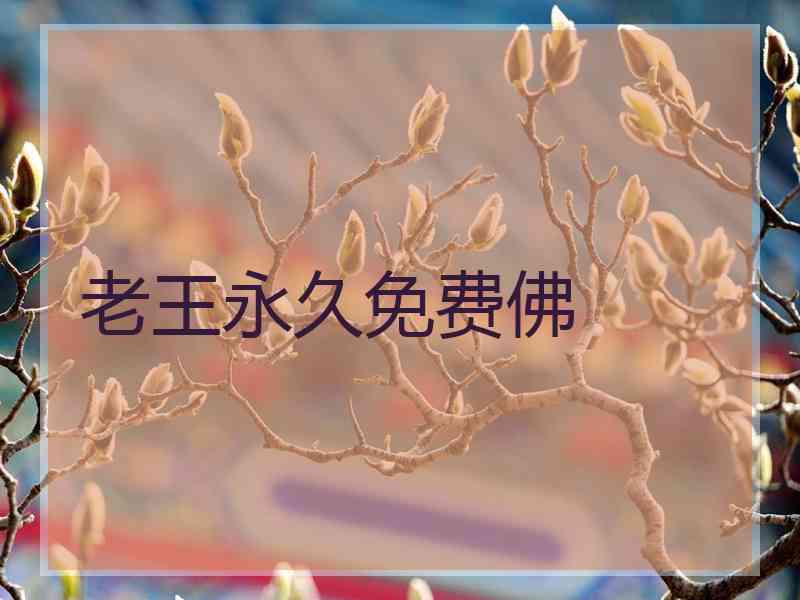 老王永久免费佛