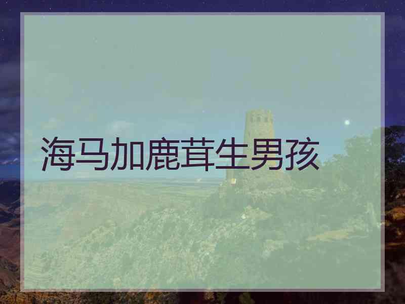 海马加鹿茸生男孩