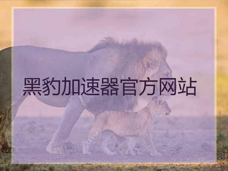黑豹加速器官方网站