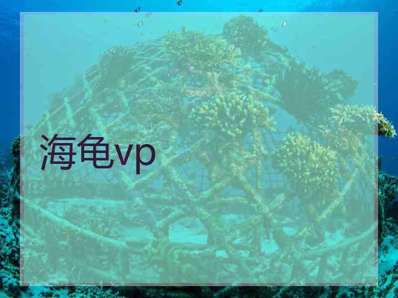 海龟vp