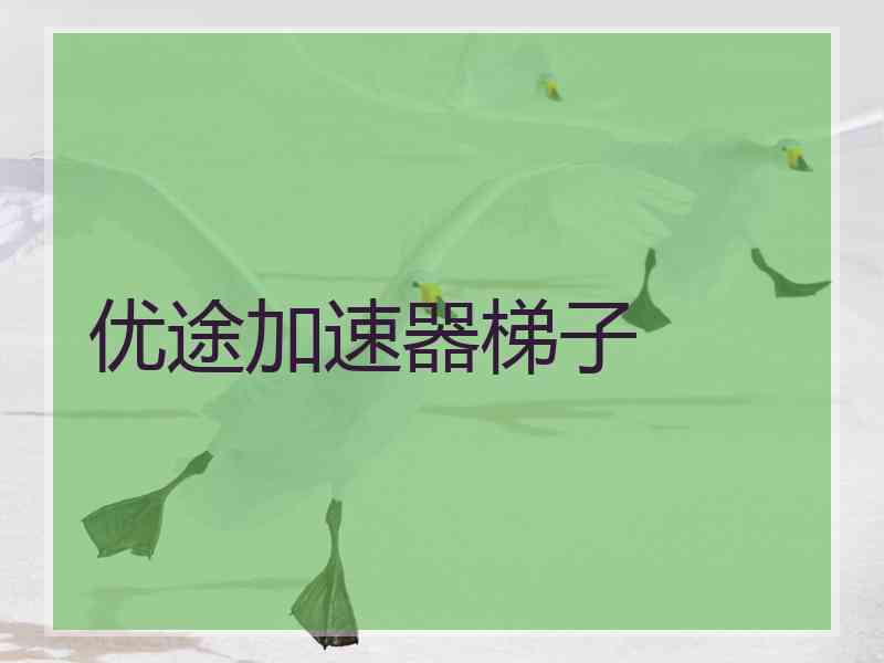 优途加速器梯子