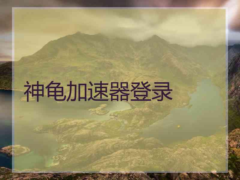 神龟加速器登录