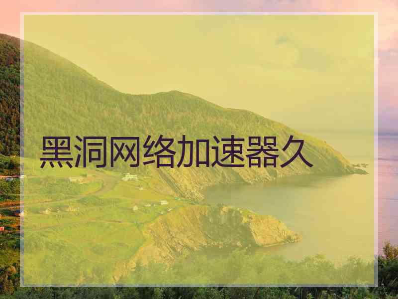 黑洞网络加速器久