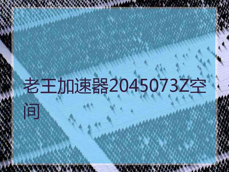 老王加速器2045073Z空间