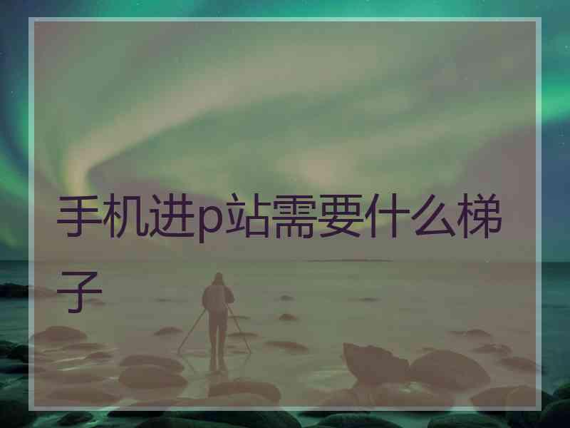 手机进p站需要什么梯子