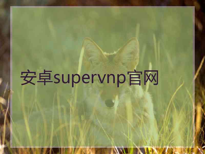 安卓supervnp官网
