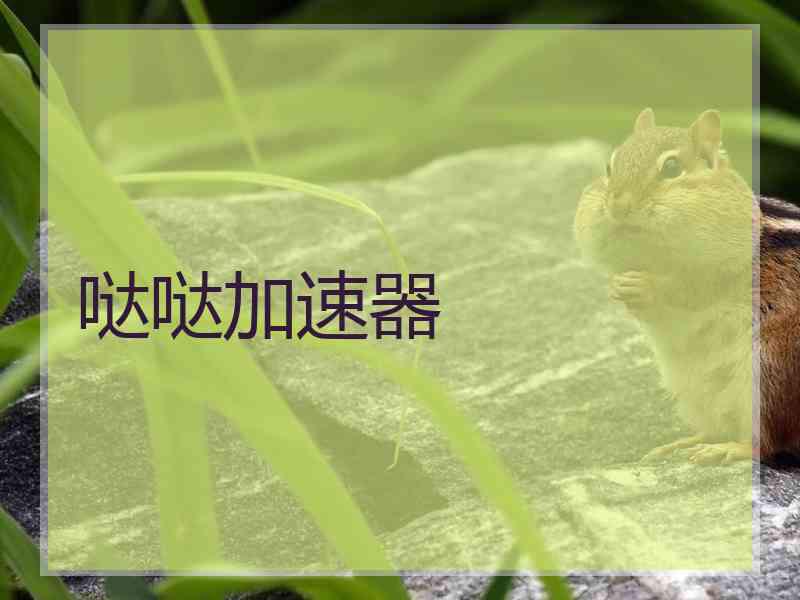 哒哒加速器