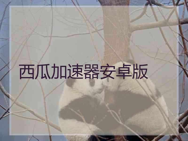 西瓜加速器安卓版