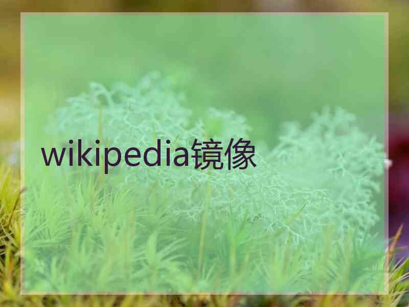wikipedia镜像