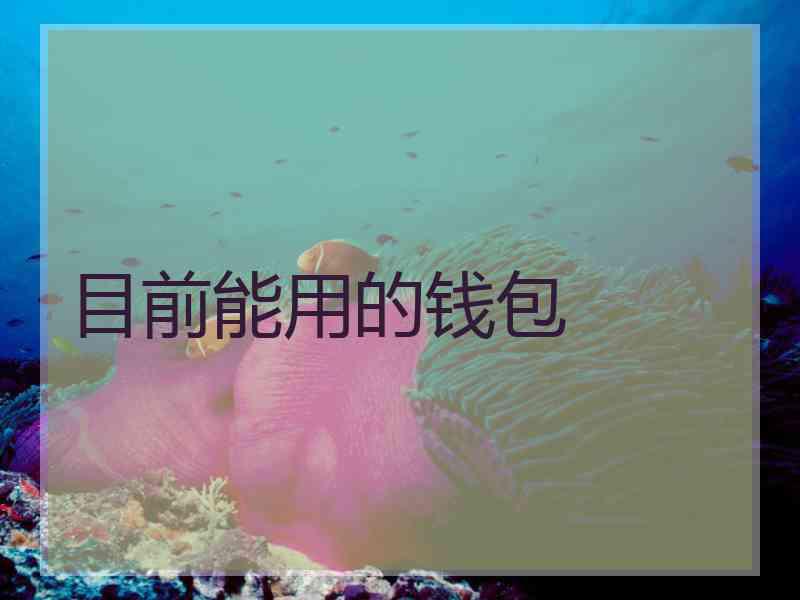 目前能用的钱包