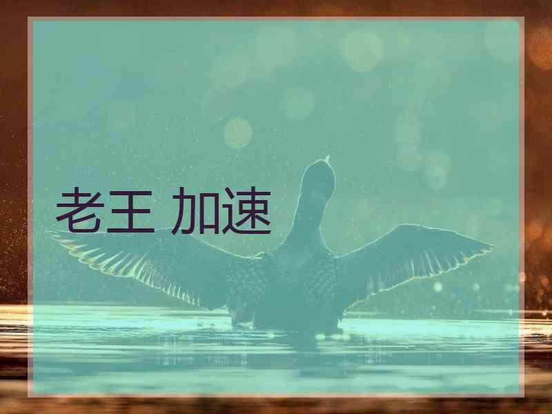 老王 加速