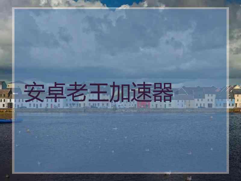 安卓老王加速器