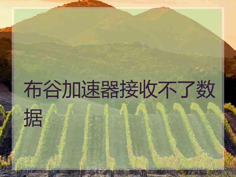布谷加速器接收不了数据