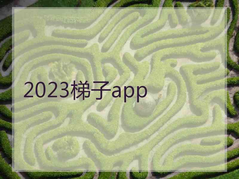 2023梯子app