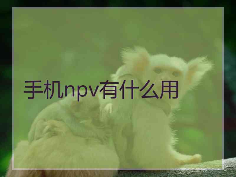 手机npv有什么用