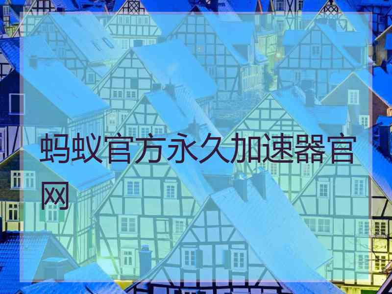 蚂蚁官方永久加速器官网