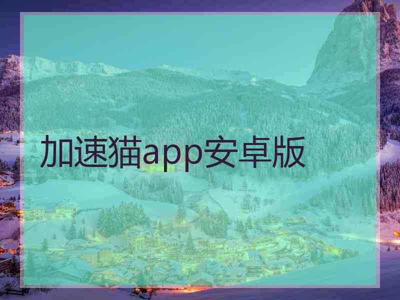 加速猫app安卓版