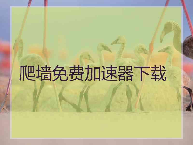 爬墙免费加速器下载