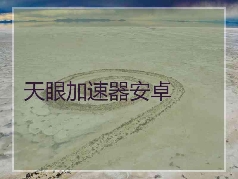 天眼加速器安卓