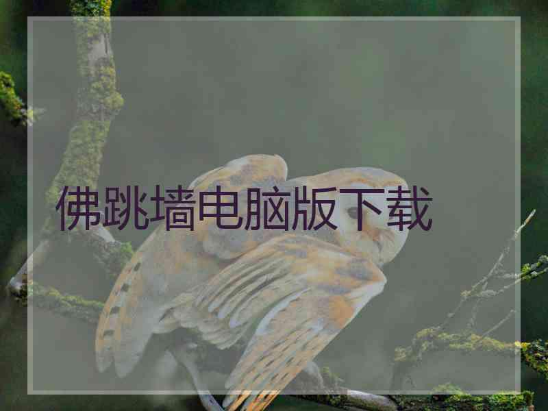 佛跳墙电脑版下载