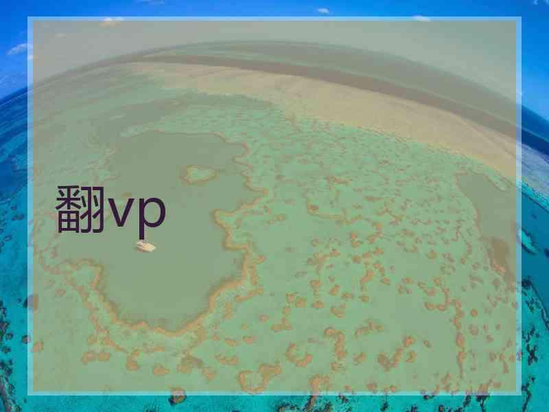 翻vp