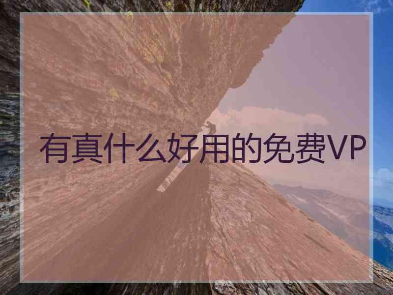 有真什么好用的免费VP