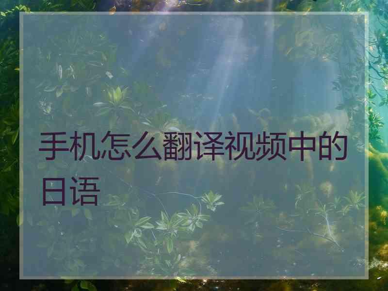 手机怎么翻译视频中的日语
